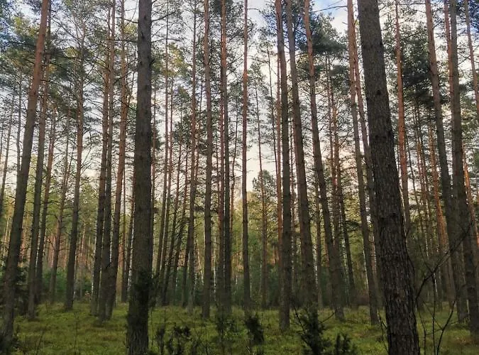 Zakatek Bed & Breakfast