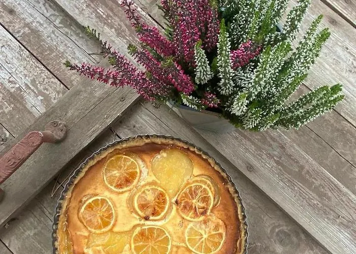 Bed & Breakfast Zakatek Lidzbark Welski